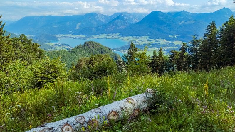 Výlet k hoře Schafberg s obytným campervanem