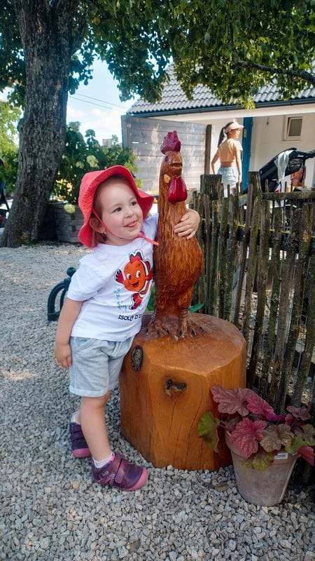 Výlet k hoře Schafberg s obytným campervanem