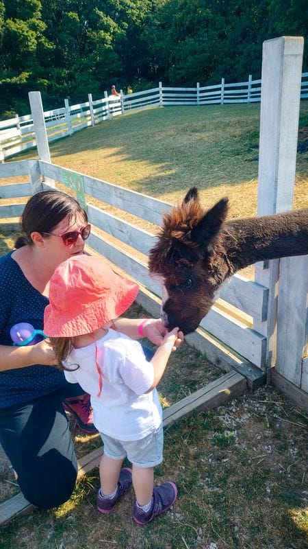 Výlet k hoře Schafberg s obytným campervanem