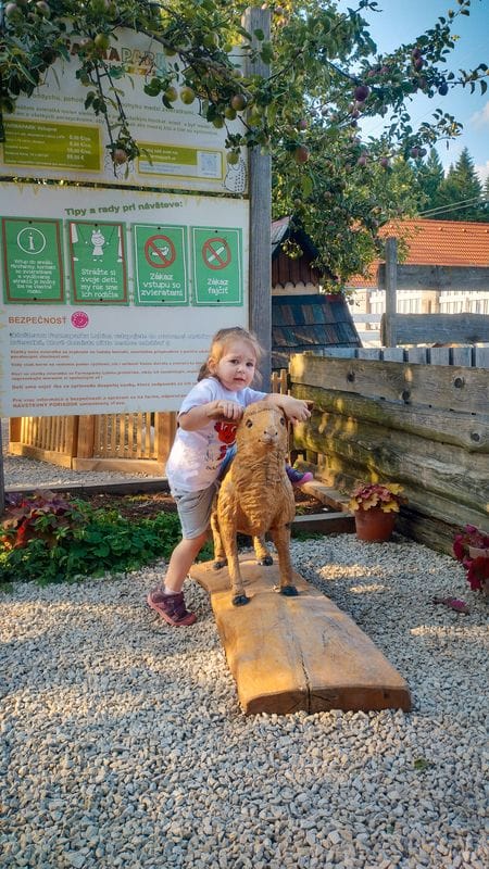 Výlet k hoře Schafberg s obytným campervanem